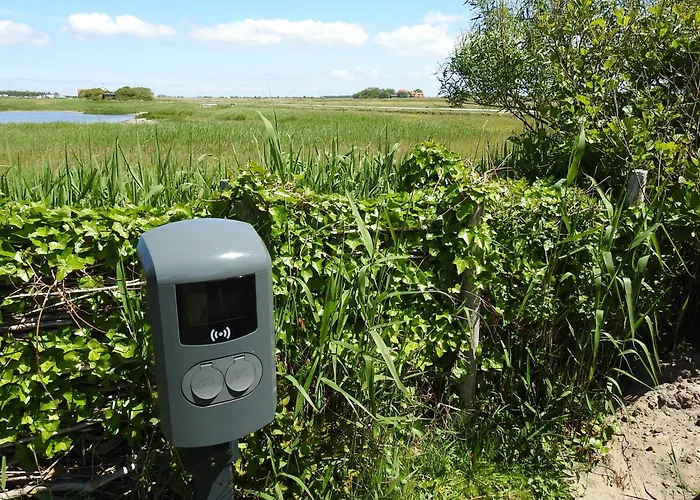 Zoute Bries, In Natuurgebied En Vlakbij Het Strand