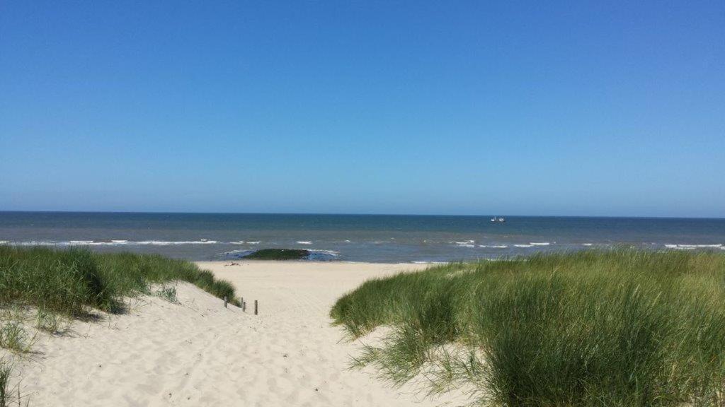 Zoute Bries, In Natuurgebied En Vlakbij Het Callantsoog